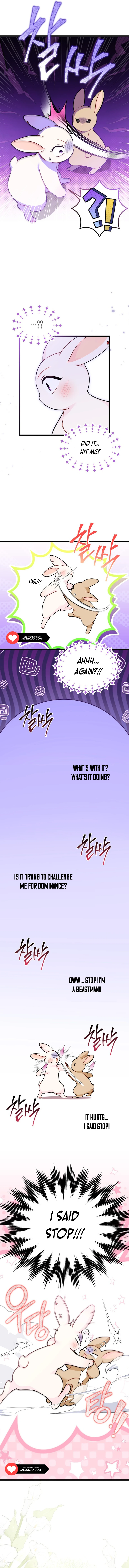 The Symbiotic Relationship Between the Rabbit and the Black Panther Chapter 155 page 6
