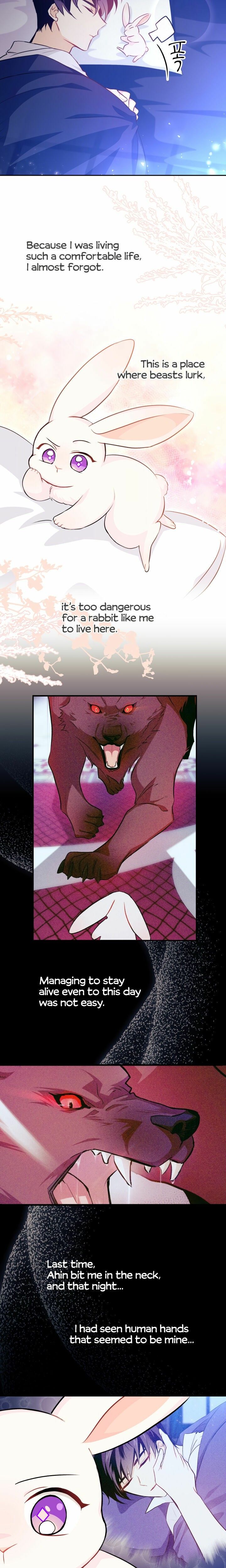 The Symbiotic Relationship Between the Rabbit and the Black Panther Chapter 16 page 11