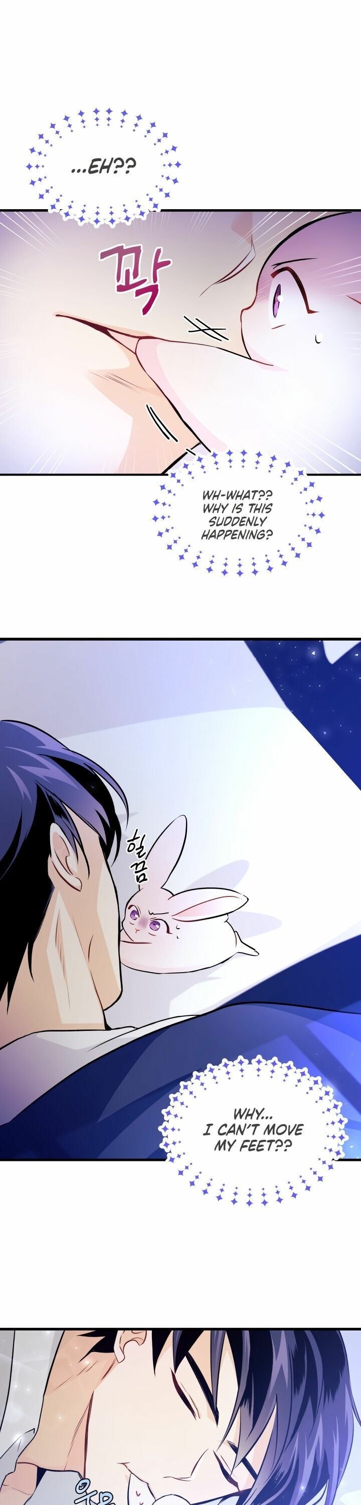 The Symbiotic Relationship Between the Rabbit and the Black Panther Chapter 16 page 16