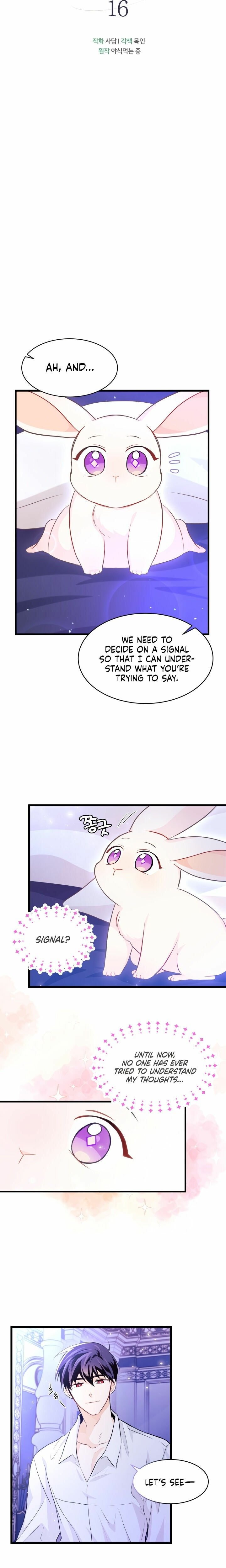 The Symbiotic Relationship Between the Rabbit and the Black Panther Chapter 16 page 2