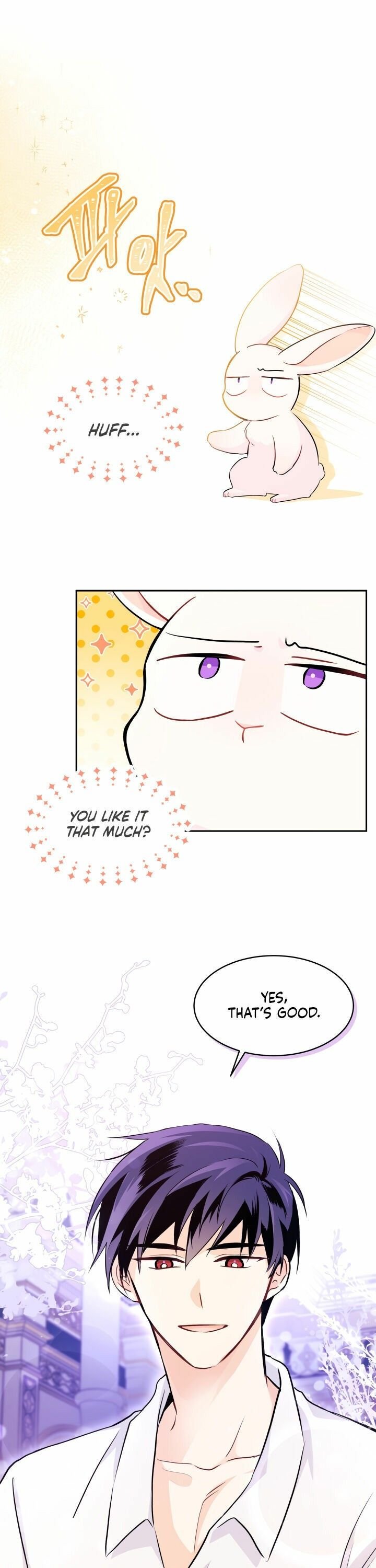 The Symbiotic Relationship Between the Rabbit and the Black Panther Chapter 16 page 6