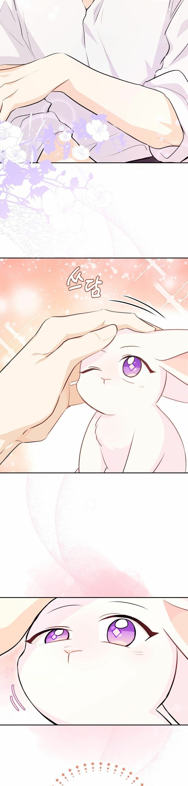 The Symbiotic Relationship Between the Rabbit and the Black Panther Chapter 16 page 7