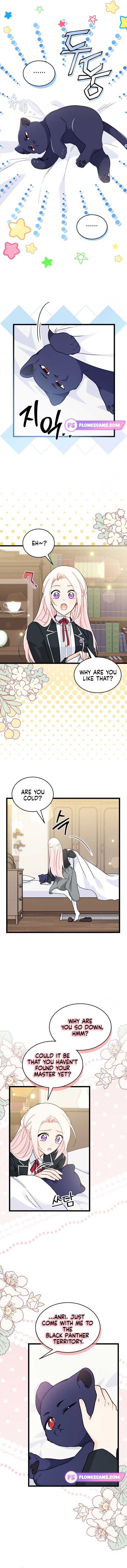 The Symbiotic Relationship Between the Rabbit and the Black Panther Chapter 165 page 4