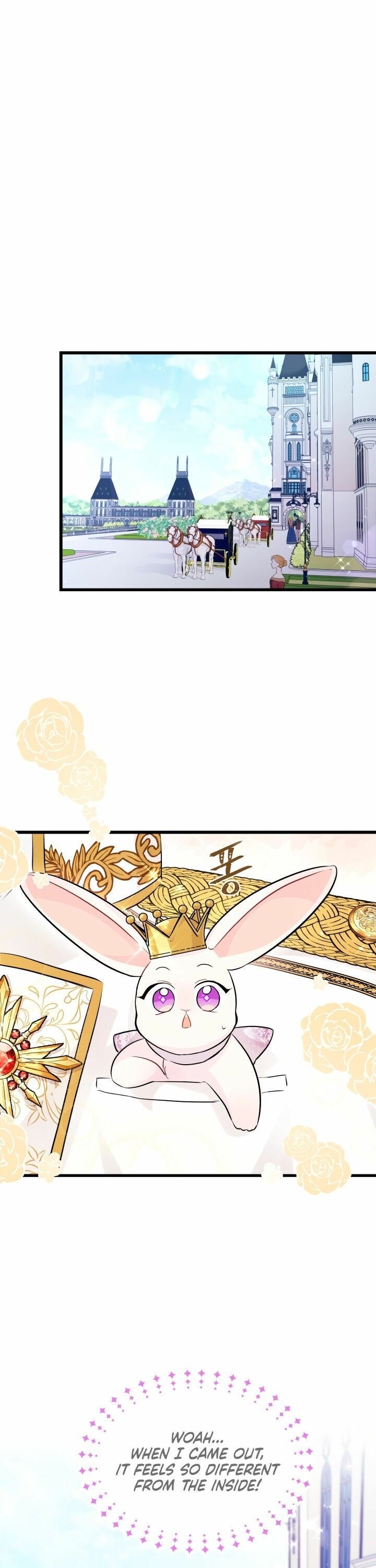 The Symbiotic Relationship Between the Rabbit and the Black Panther Chapter 17 page 16