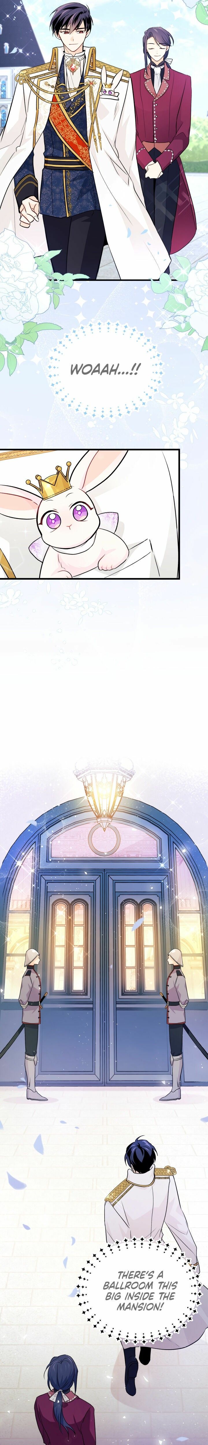 The Symbiotic Relationship Between the Rabbit and the Black Panther Chapter 17 page 20