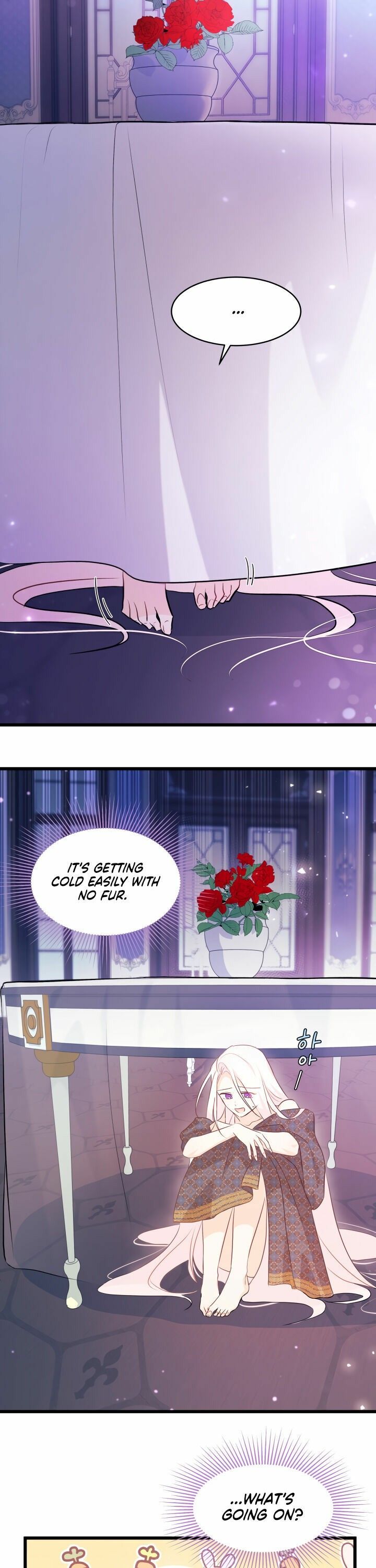 The Symbiotic Relationship Between the Rabbit and the Black Panther Chapter 19 page 14