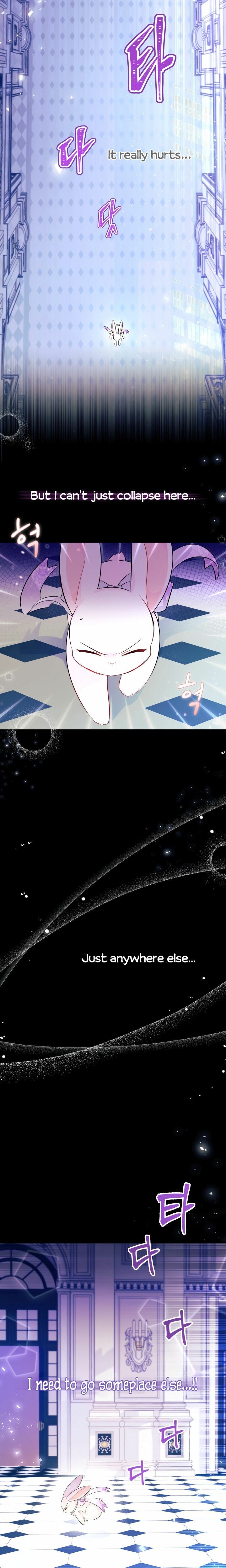 The Symbiotic Relationship Between the Rabbit and the Black Panther Chapter 19 page 2