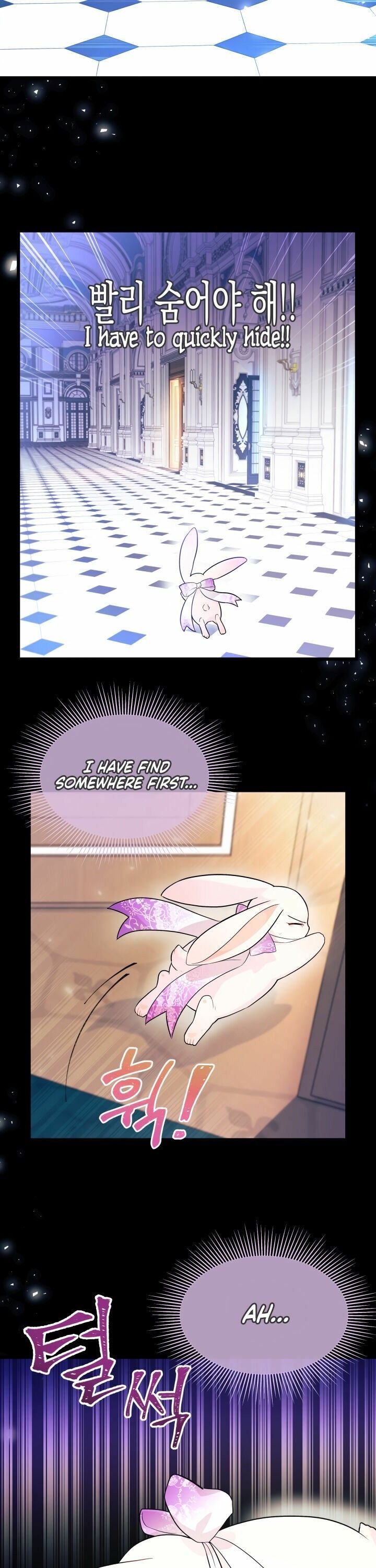 The Symbiotic Relationship Between the Rabbit and the Black Panther Chapter 19 page 3