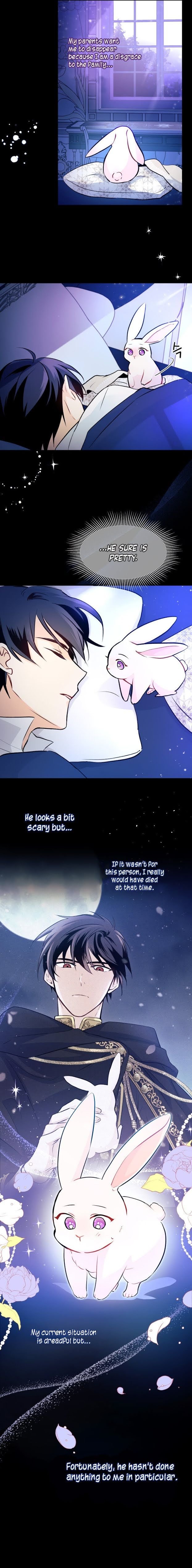 The Symbiotic Relationship Between the Rabbit and the Black Panther Chapter 2 page 25