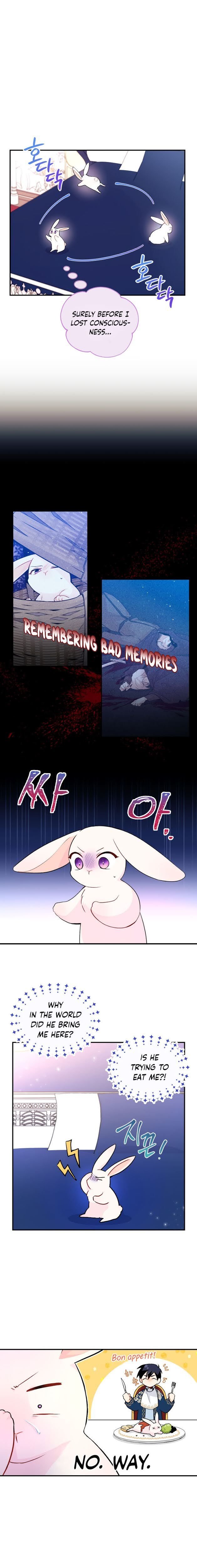 The Symbiotic Relationship Between the Rabbit and the Black Panther Chapter 2 page 2