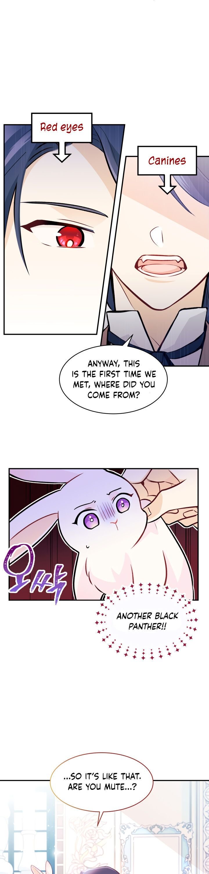The Symbiotic Relationship Between the Rabbit and the Black Panther Chapter 2 page 7