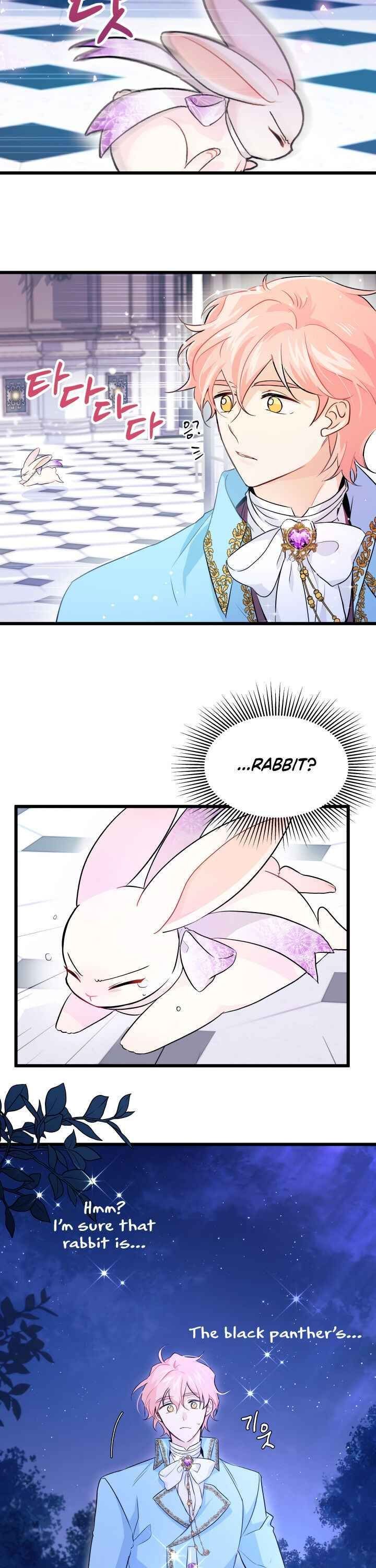The Symbiotic Relationship Between the Rabbit and the Black Panther Chapter 20 page 3