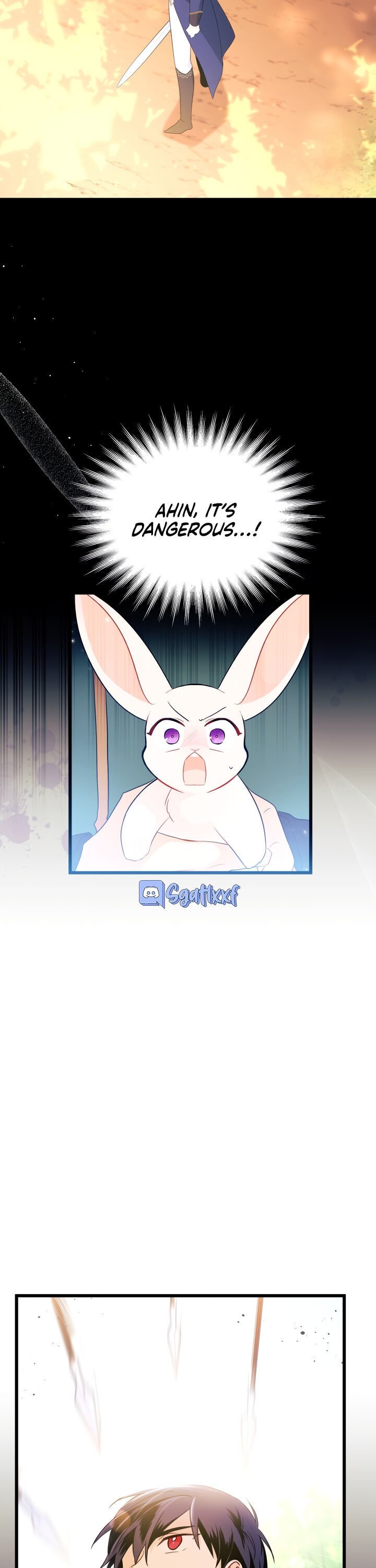 The Symbiotic Relationship Between the Rabbit and the Black Panther Chapter 27 page 11