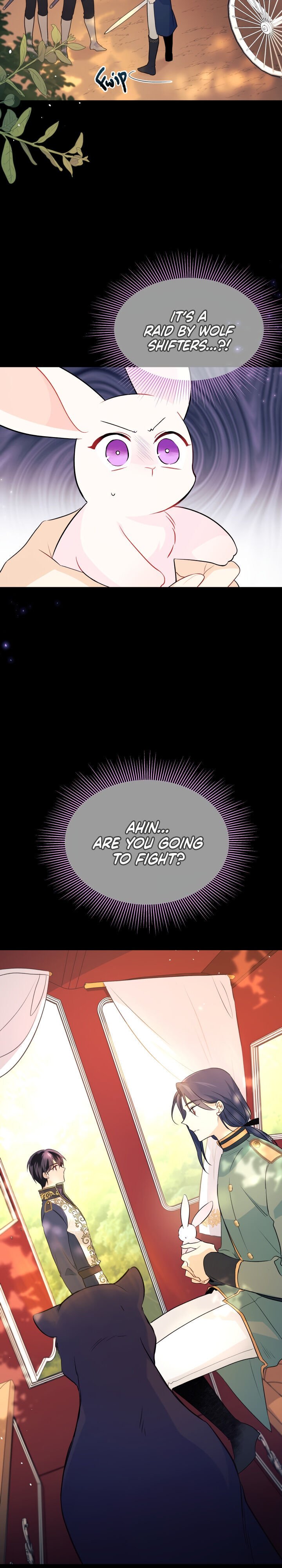 The Symbiotic Relationship Between the Rabbit and the Black Panther Chapter 27 page 3