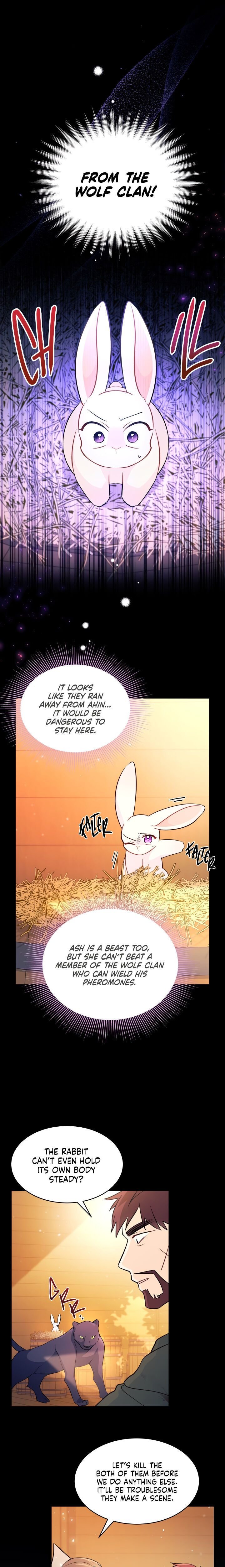 The Symbiotic Relationship Between the Rabbit and the Black Panther Chapter 28 page 9