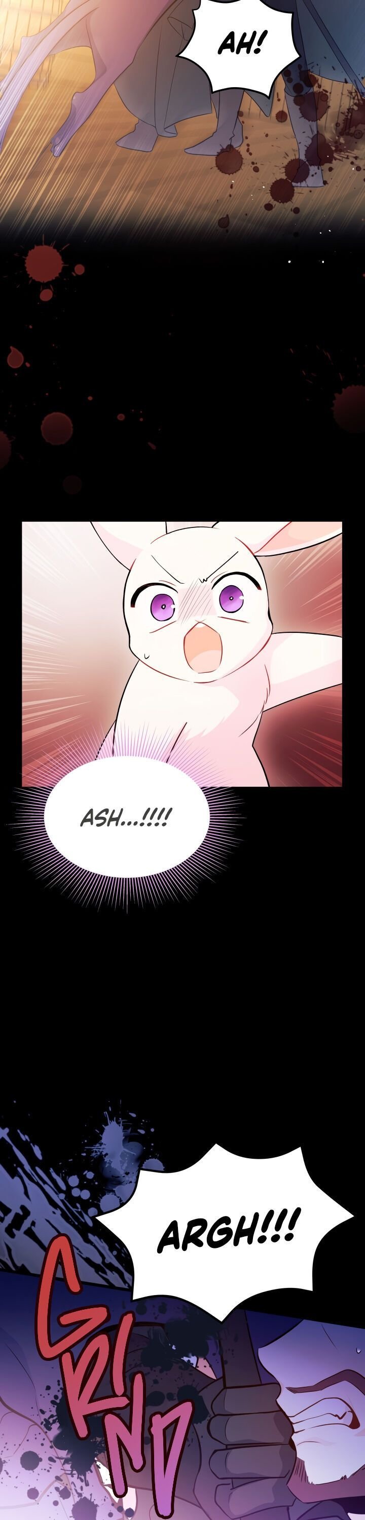 The Symbiotic Relationship Between the Rabbit and the Black Panther Chapter 28 page 13