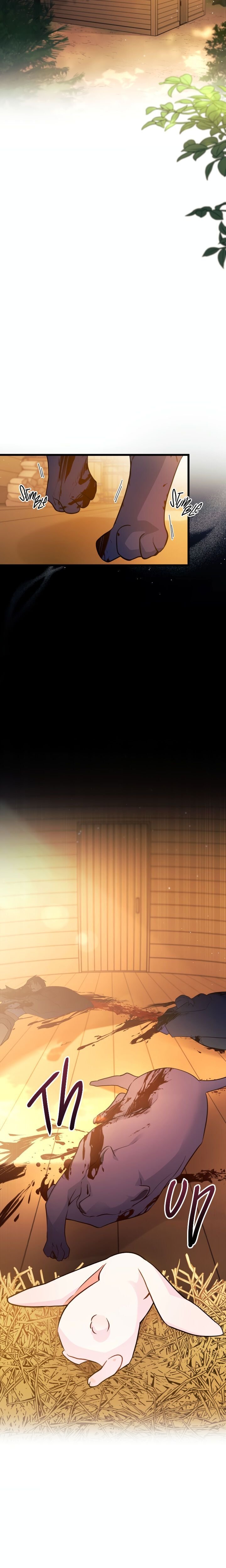The Symbiotic Relationship Between the Rabbit and the Black Panther Chapter 28 page 21