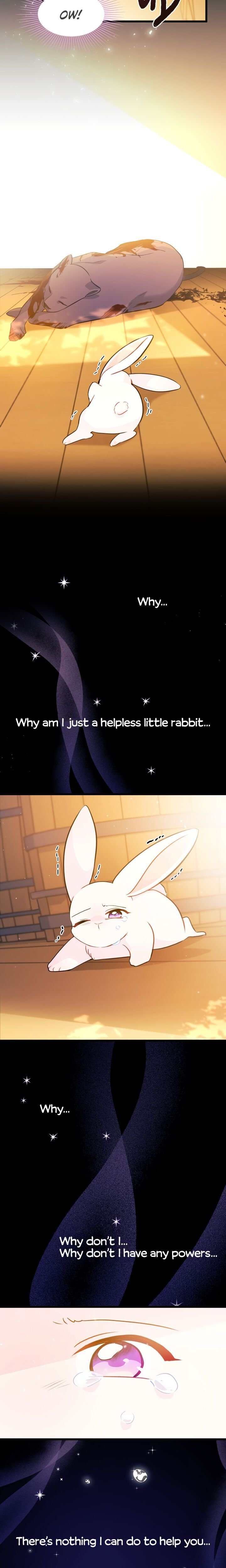 The Symbiotic Relationship Between the Rabbit and the Black Panther Chapter 28 page 24