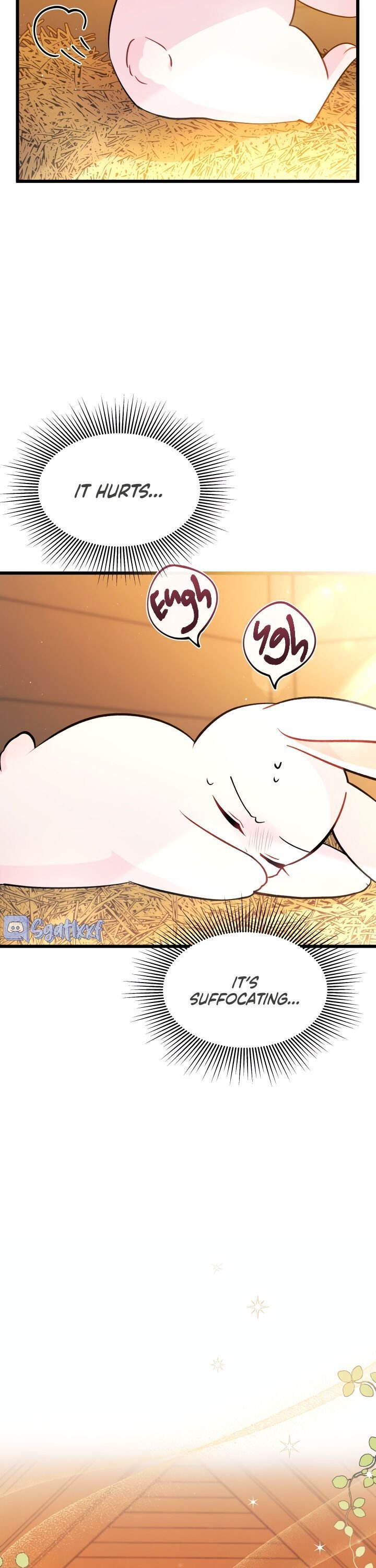 The Symbiotic Relationship Between the Rabbit and the Black Panther Chapter 28 page 4