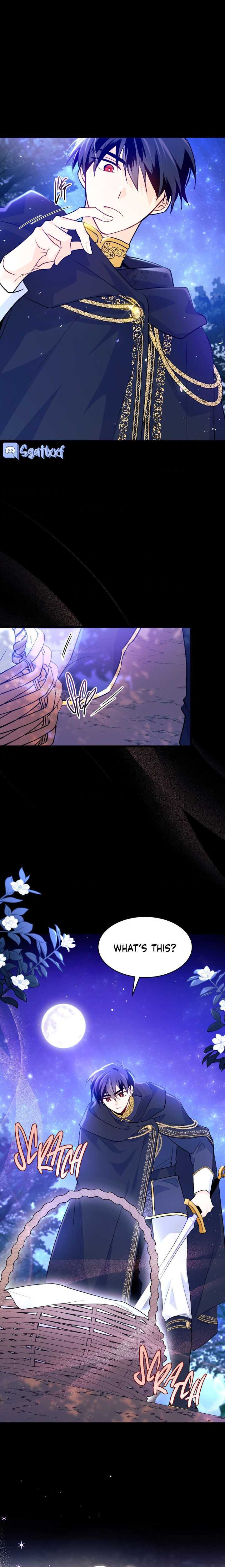 The Symbiotic Relationship Between the Rabbit and the Black Panther Chapter 29 page 14