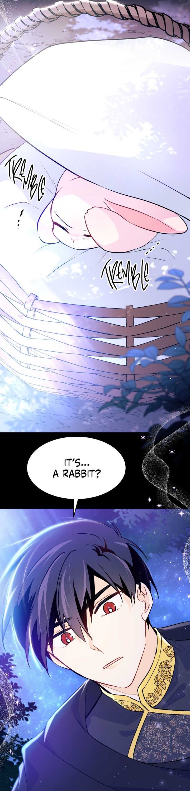 The Symbiotic Relationship Between the Rabbit and the Black Panther Chapter 29 page 15