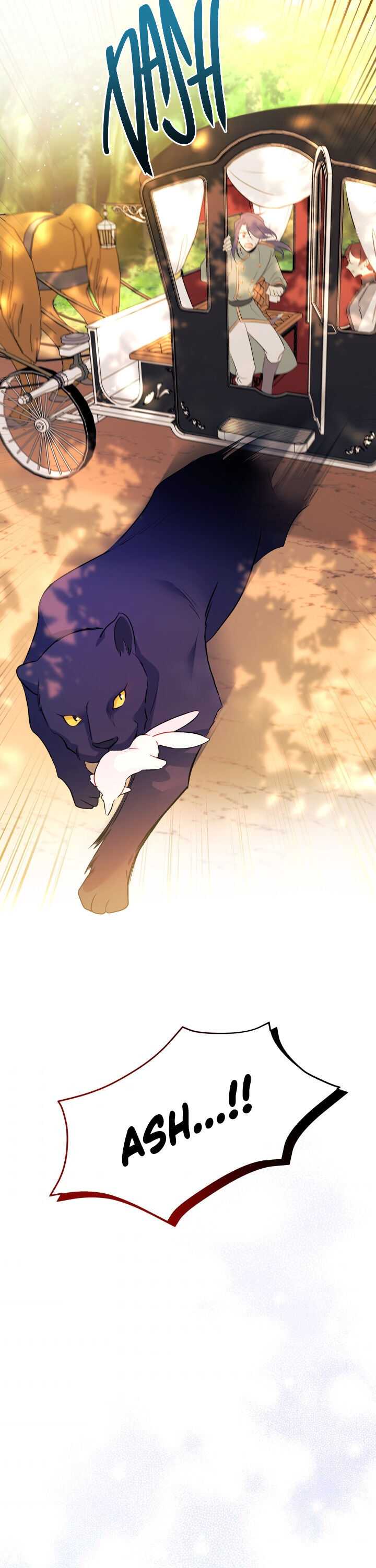 The Symbiotic Relationship Between the Rabbit and the Black Panther Chapter 29 page 19