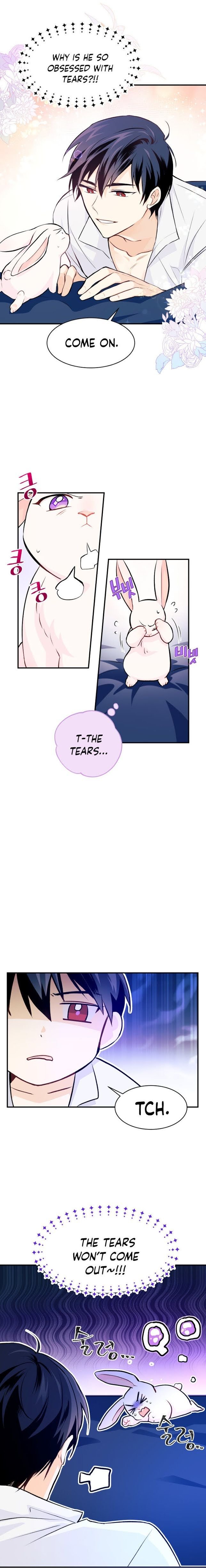 The Symbiotic Relationship Between the Rabbit and the Black Panther Chapter 3 page 5
