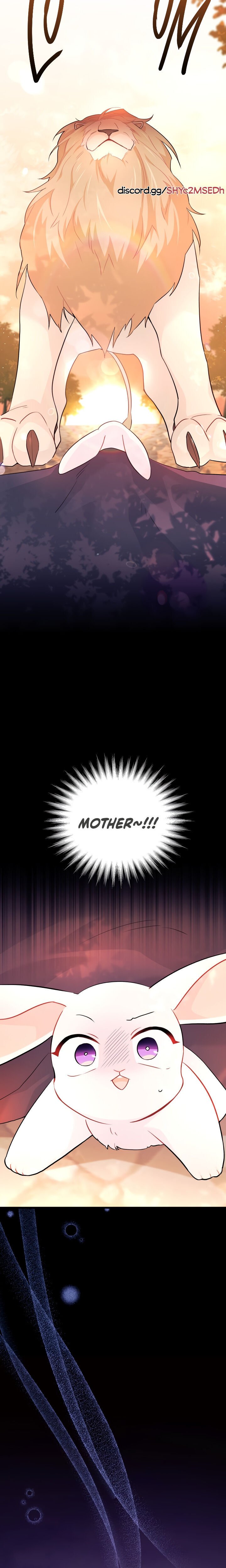 The Symbiotic Relationship Between the Rabbit and the Black Panther Chapter 33 page 18