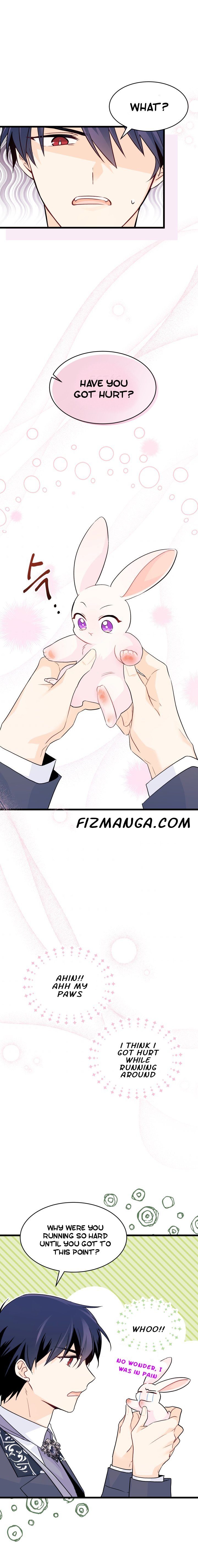 The Symbiotic Relationship Between the Rabbit and the Black Panther Chapter 34.5 page 3