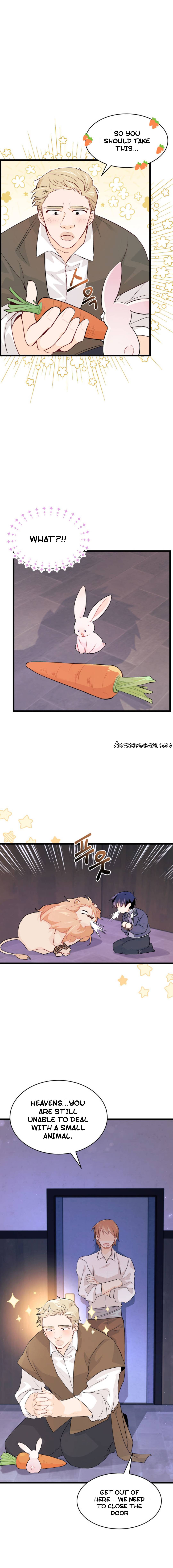 The Symbiotic Relationship Between the Rabbit and the Black Panther Chapter 35.1 page 1