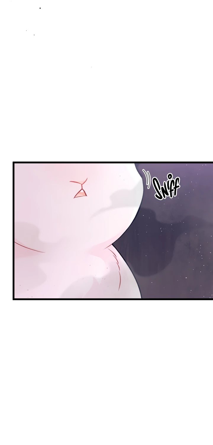 The Symbiotic Relationship Between the Rabbit and the Black Panther Chapter 35 page 20