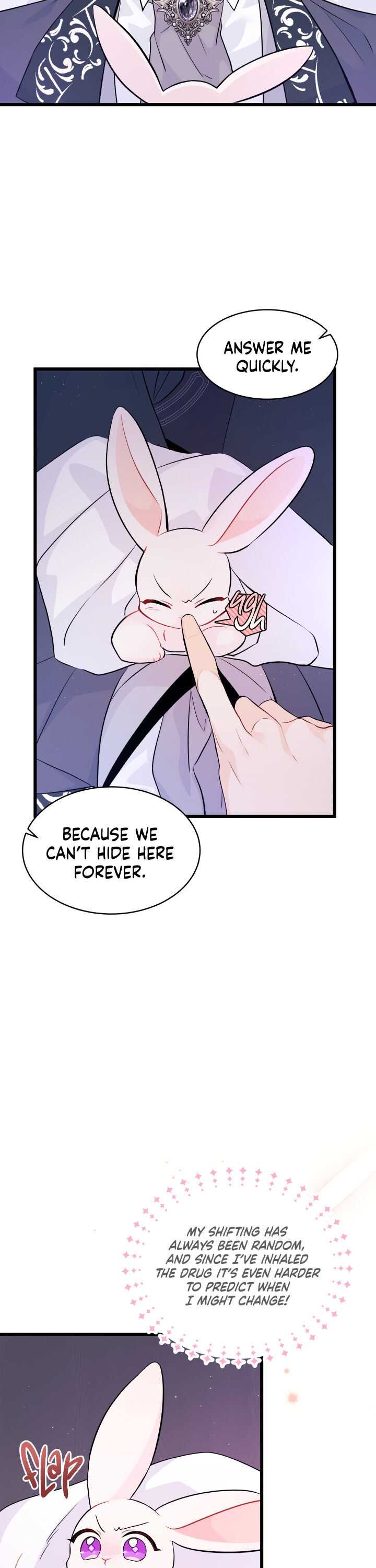 The Symbiotic Relationship Between the Rabbit and the Black Panther Chapter 36 page 17