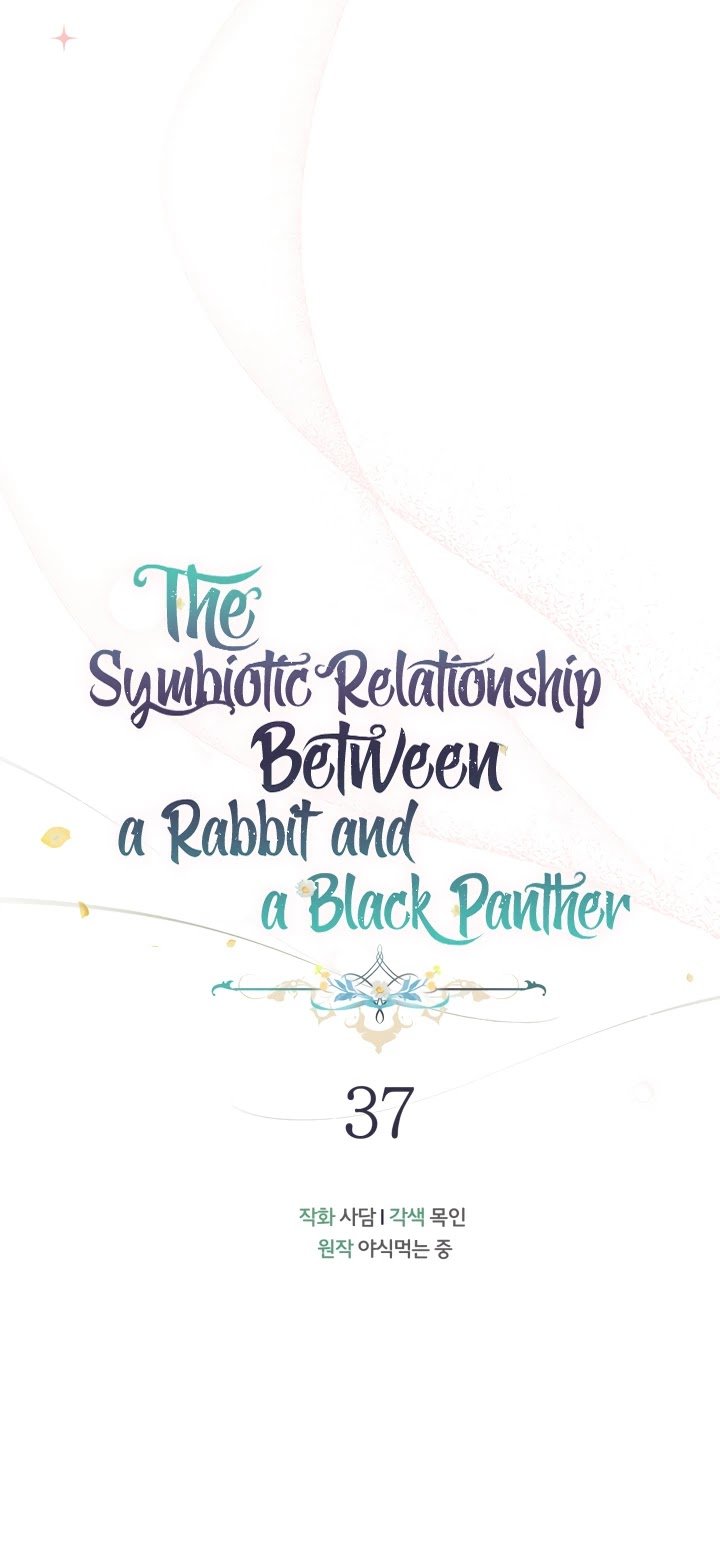 The Symbiotic Relationship Between the Rabbit and the Black Panther Chapter 37 page 4