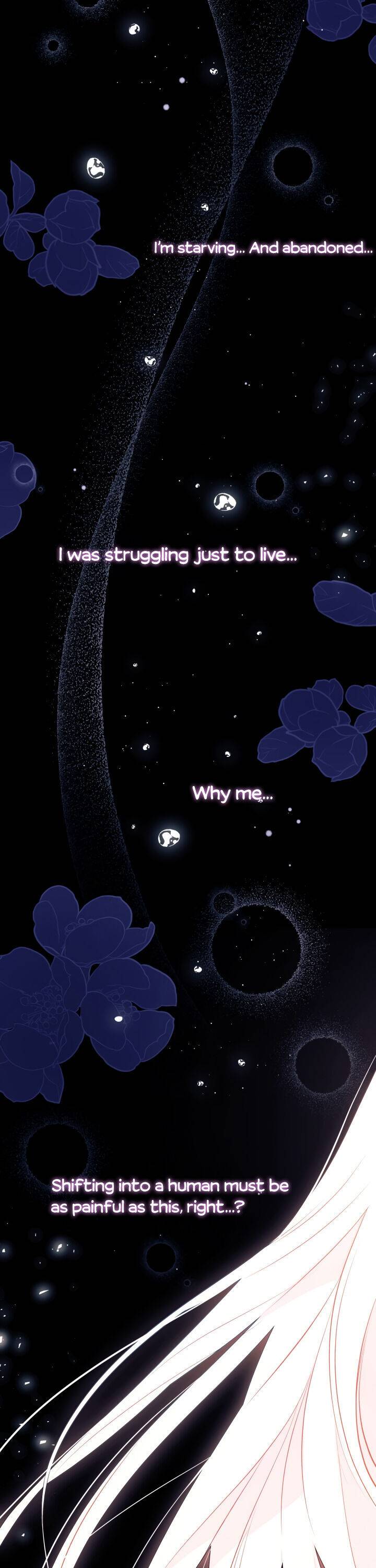 The Symbiotic Relationship Between the Rabbit and the Black Panther Chapter 39 page 8