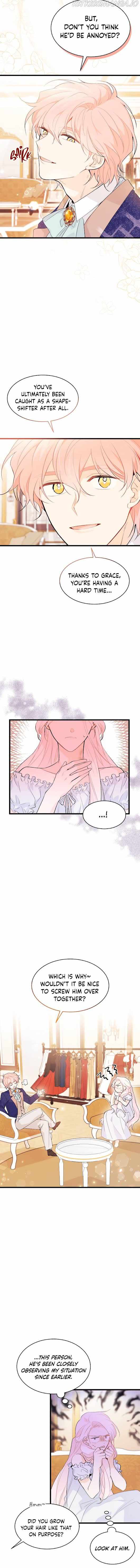 The Symbiotic Relationship Between the Rabbit and the Black Panther Chapter 42 page 13