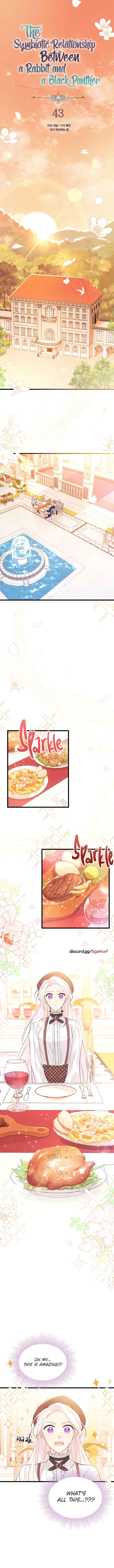 The Symbiotic Relationship Between the Rabbit and the Black Panther Chapter 43 page 0
