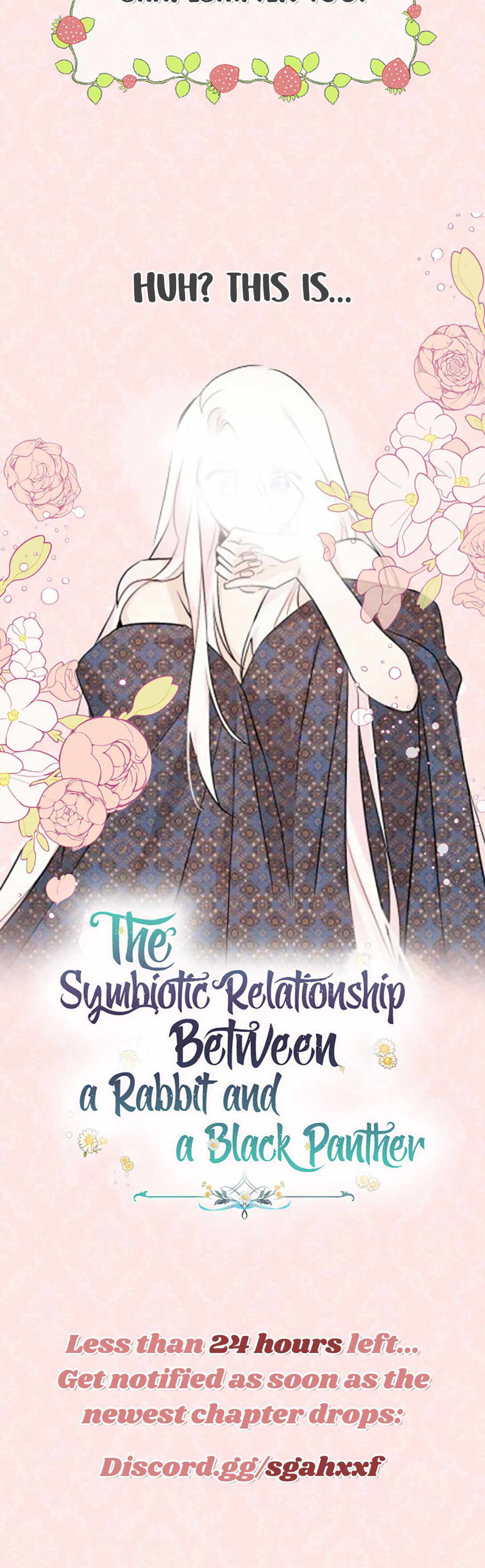 The Symbiotic Relationship Between the Rabbit and the Black Panther Chapter 44.5 page 11