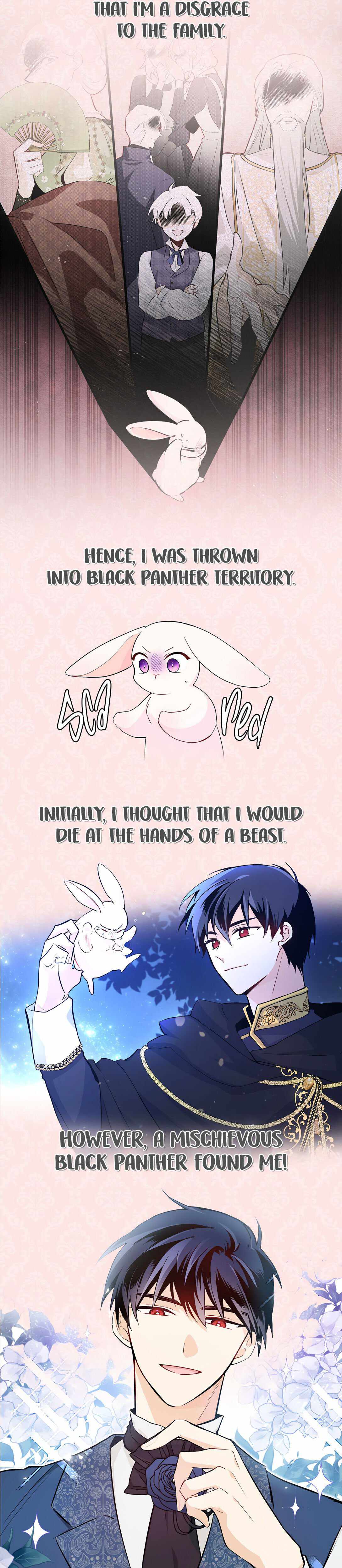 The Symbiotic Relationship Between the Rabbit and the Black Panther Chapter 44.5 page 2