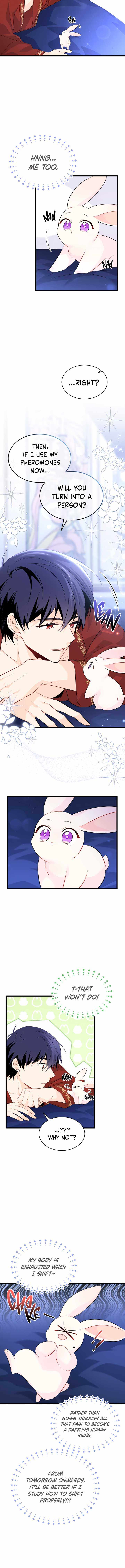 The Symbiotic Relationship Between the Rabbit and the Black Panther Chapter 46 page 11