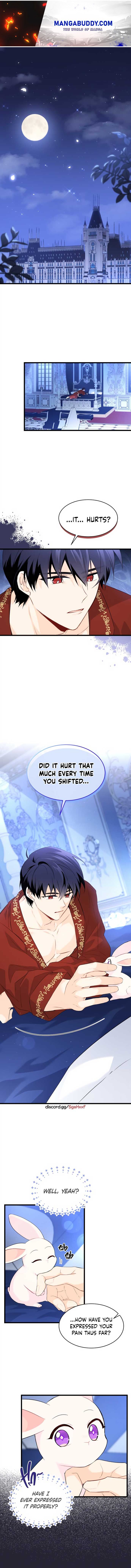 The Symbiotic Relationship Between the Rabbit and the Black Panther Chapter 47 page 0