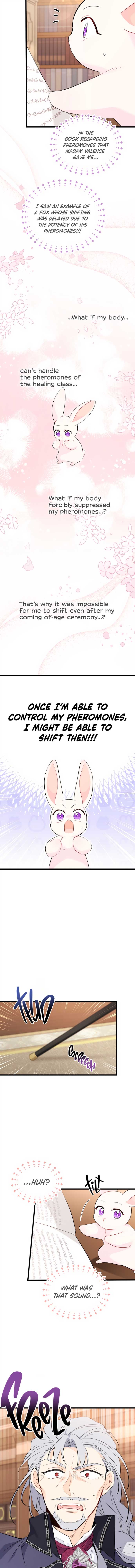 The Symbiotic Relationship Between the Rabbit and the Black Panther Chapter 47 page 11