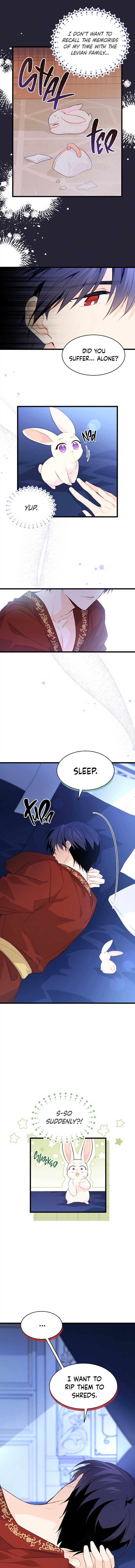 The Symbiotic Relationship Between the Rabbit and the Black Panther Chapter 47 page 1
