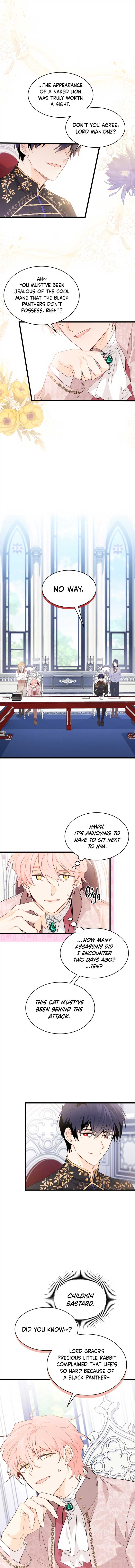 The Symbiotic Relationship Between the Rabbit and the Black Panther Chapter 47 page 3