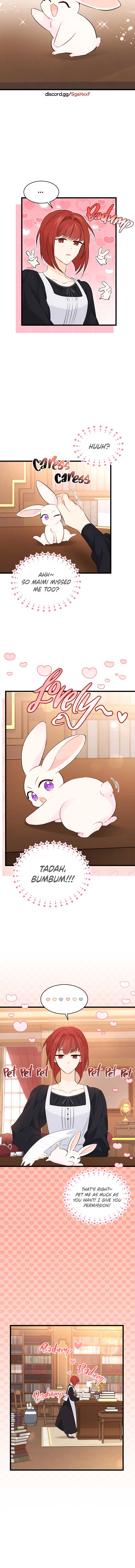 The Symbiotic Relationship Between the Rabbit and the Black Panther Chapter 47 page 8
