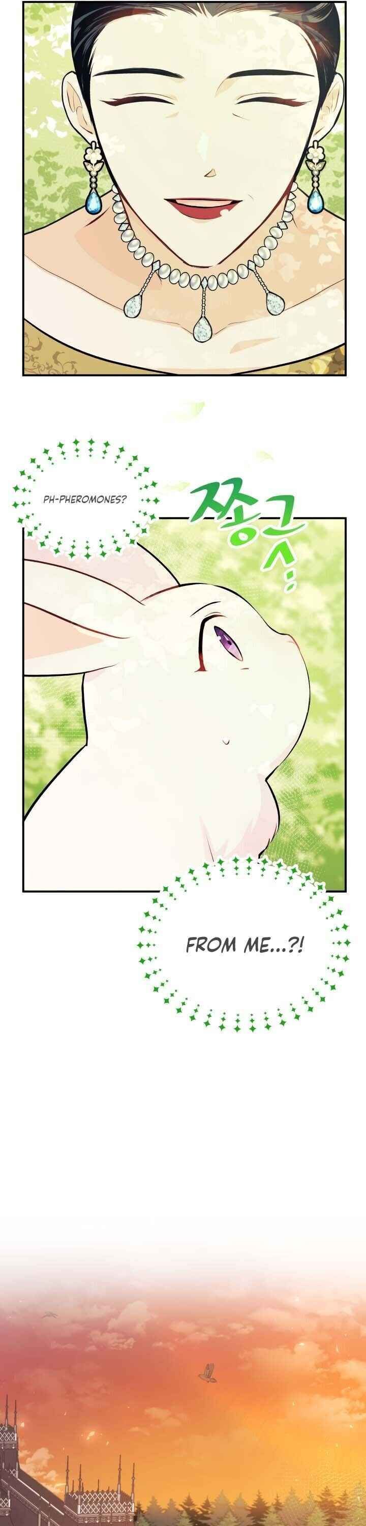 The Symbiotic Relationship Between the Rabbit and the Black Panther Chapter 5 page 11