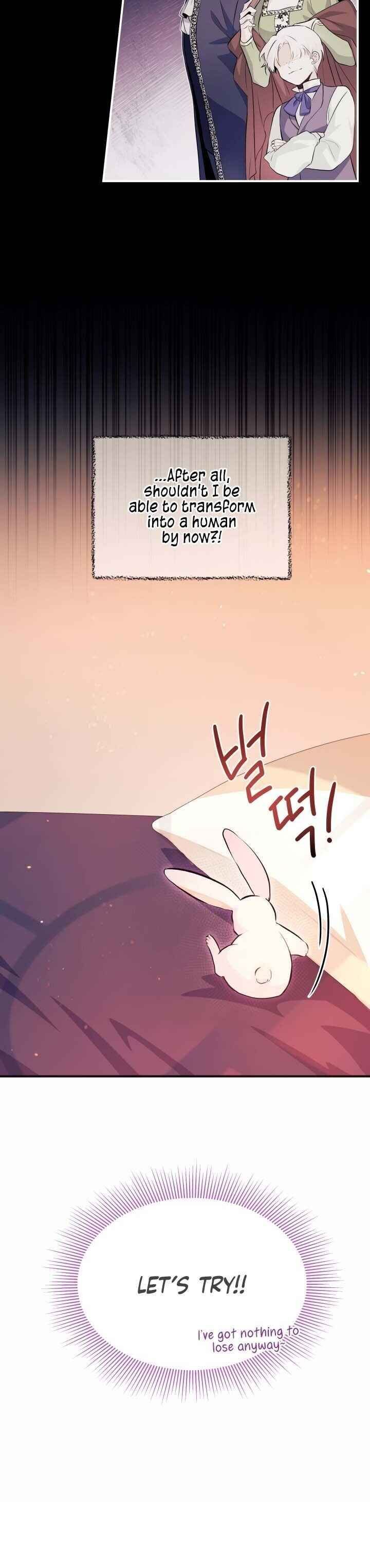 The Symbiotic Relationship Between the Rabbit and the Black Panther Chapter 5 page 16