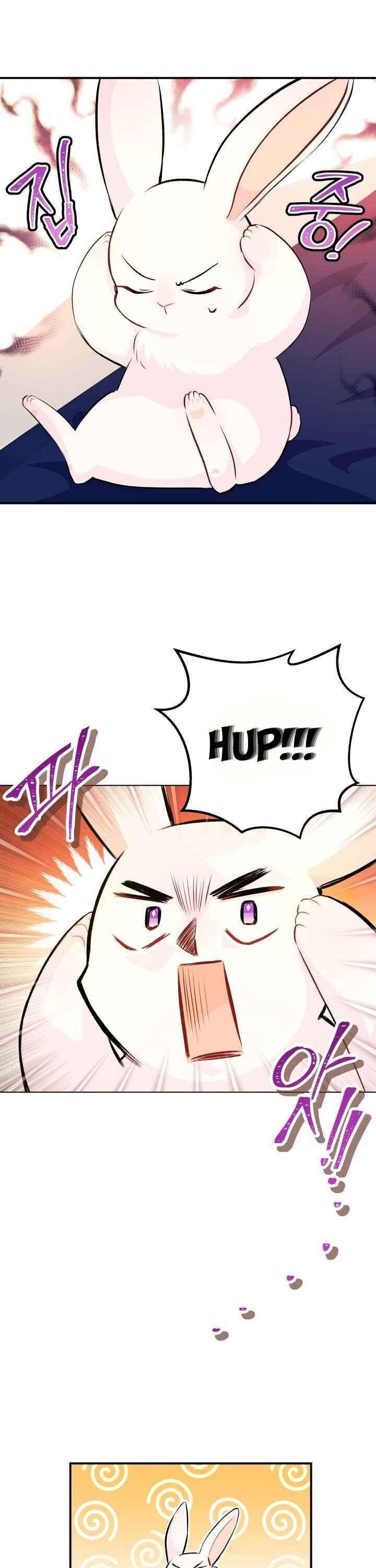 The Symbiotic Relationship Between the Rabbit and the Black Panther Chapter 5 page 17