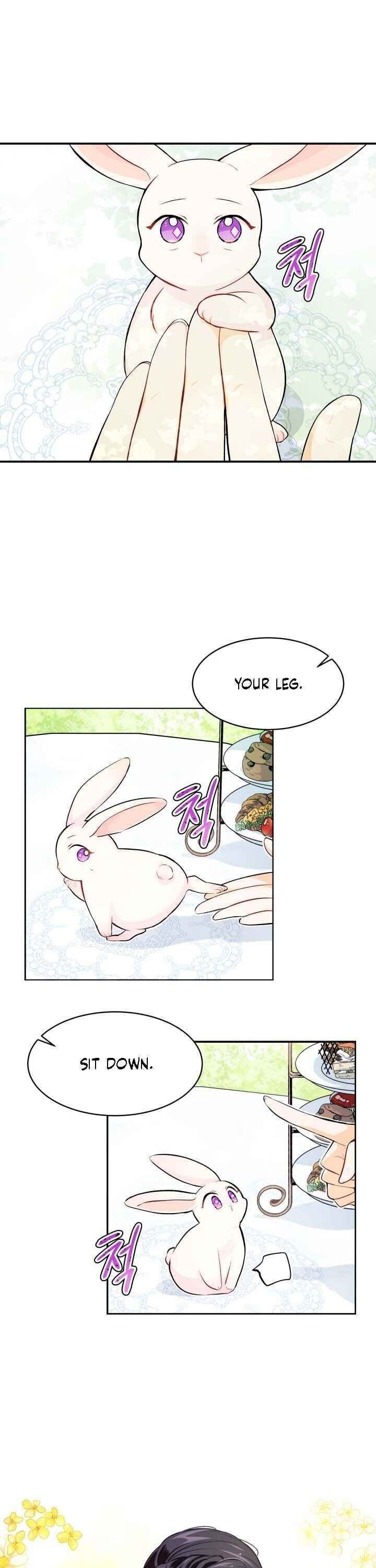 The Symbiotic Relationship Between the Rabbit and the Black Panther Chapter 5 page 5