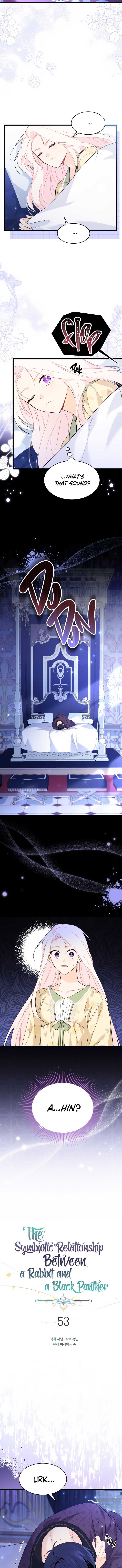 The Symbiotic Relationship Between the Rabbit and the Black Panther Chapter 53 page 1