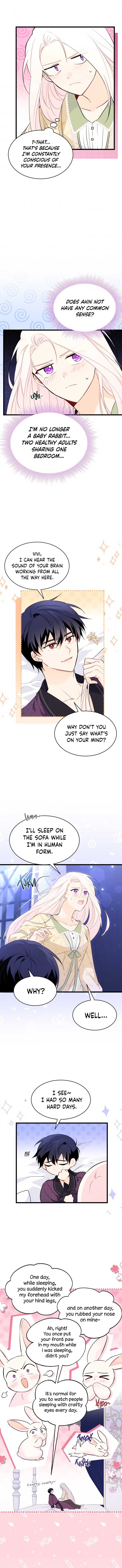 The Symbiotic Relationship Between the Rabbit and the Black Panther Chapter 53 page 4
